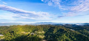 Dinas Lingkungan Hidup