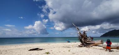 Dinas Lingkungan Hidup